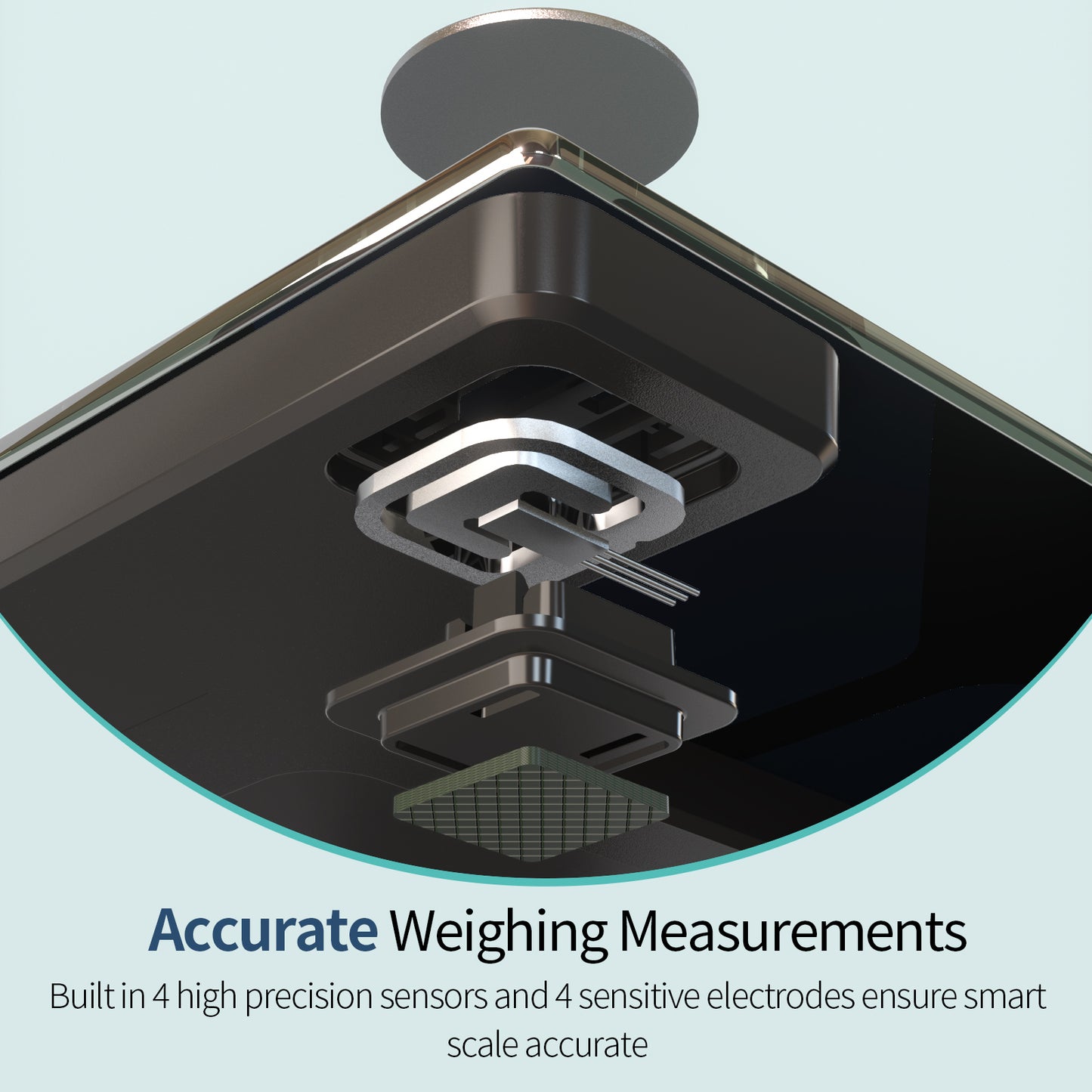 Smart Scale for Body Weight, Body Fat Scale Large Display, Digital Weight Scale, Bluetooth Bathroom Scale with High Accuracy,13 Data Sync with APP, 400 lb (11 x 11 inches)