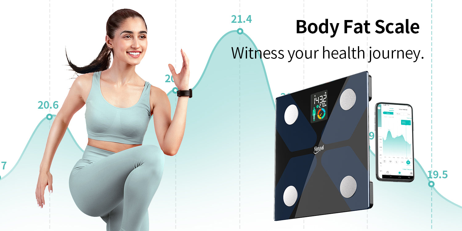 Body Fat Scale